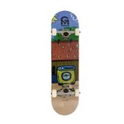 SKATEBOARD Completo Lavadora skater